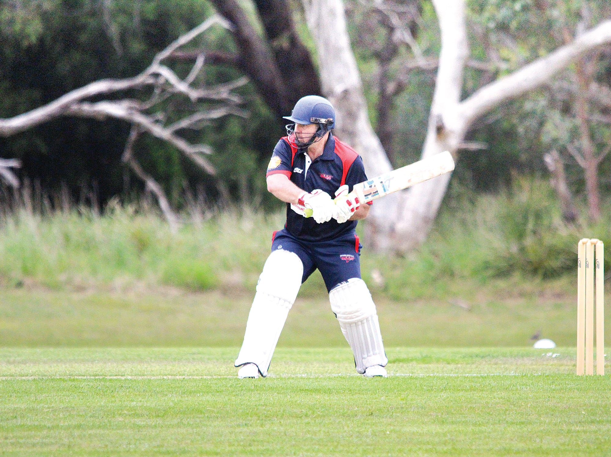 Brett Debono watches it closely as he looks to score during his innings of 62*. 