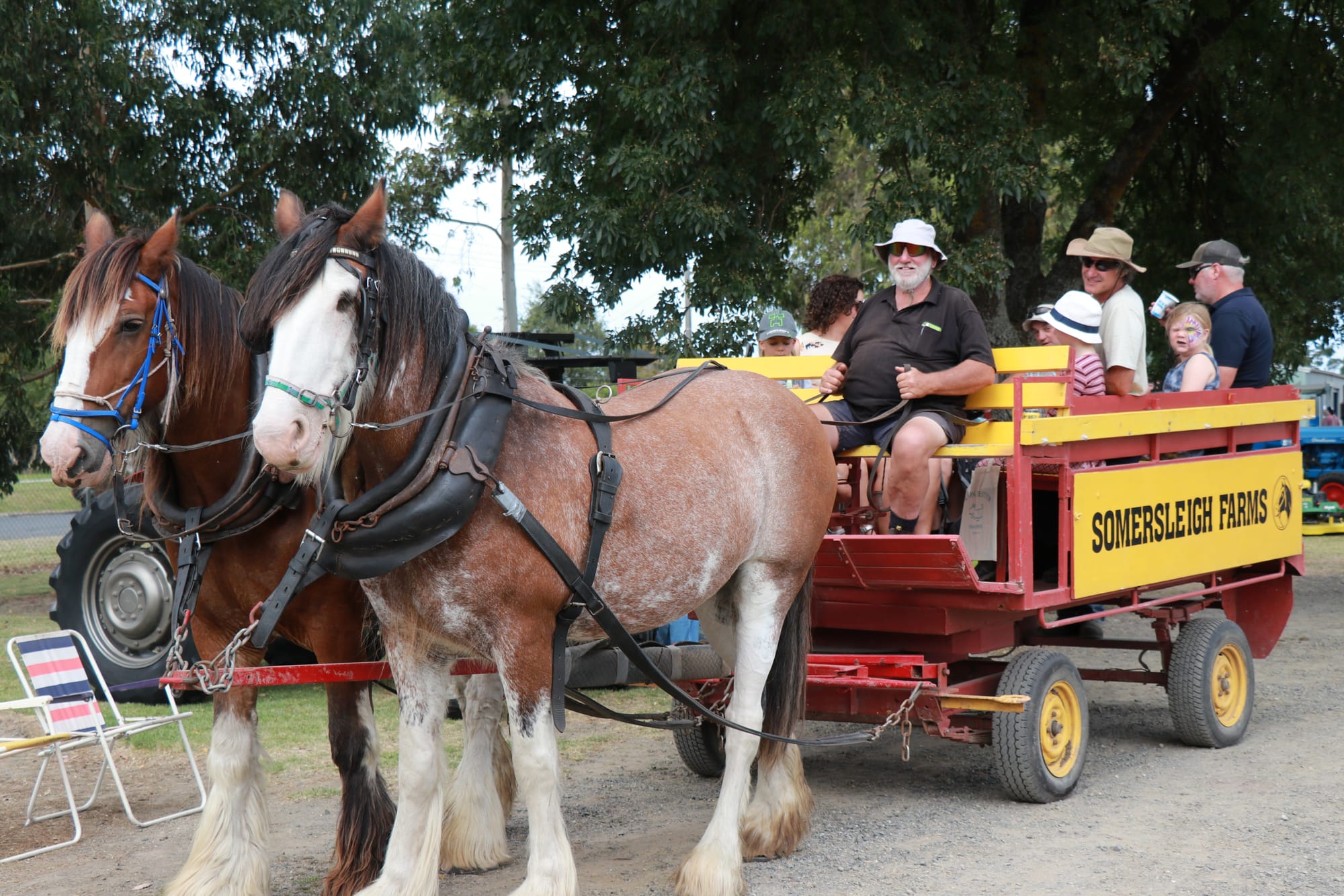 Somersleigh Farms were holding horse and cart rides around the grounds at the Foster Show on Sunday. Z34_0923&nbsp;