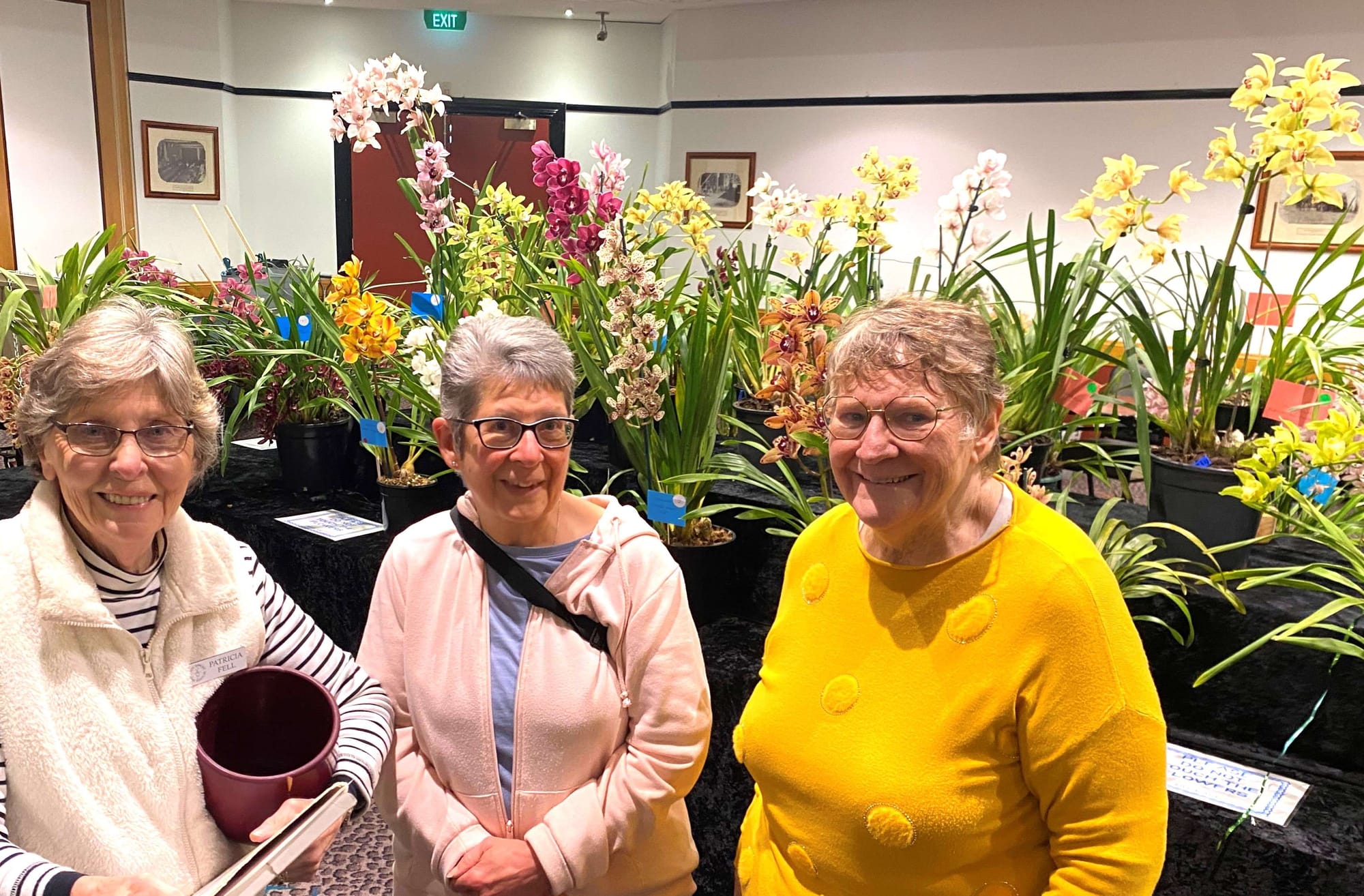 Getting a sneak peak at the Wonthaggi orchid show, during the set up on Thursday, were Pat Fell (committee member) and visitors/growers Heather Reid and Margaret Stewart.
