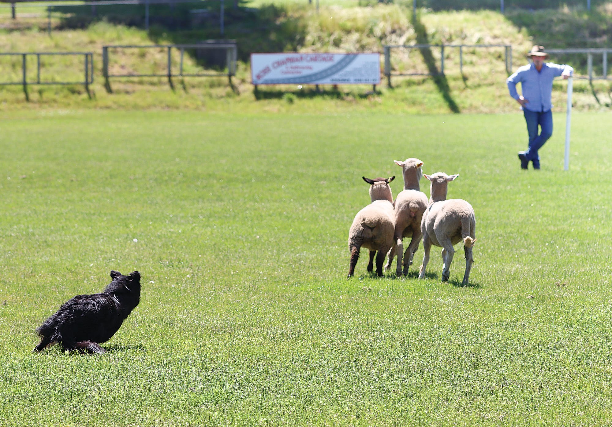 Marong Murphy takes on the trials ahead of the finals on Monday afternoon.