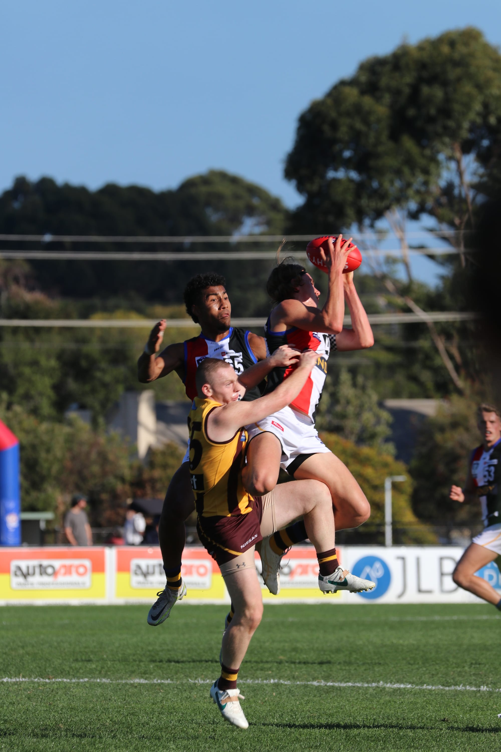 Box Hill Hawks Andreas Stefanakis in a contest with Saints at the VFL match in Wonthaggi. 