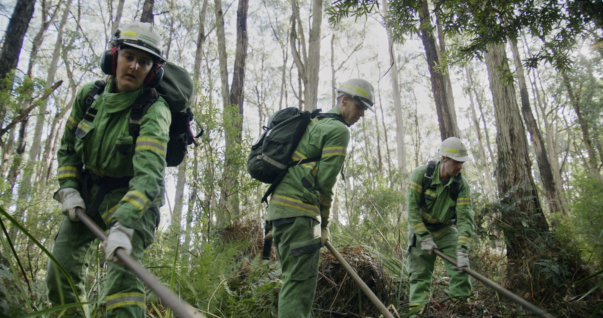 Help protect Gippsland from future bushfires