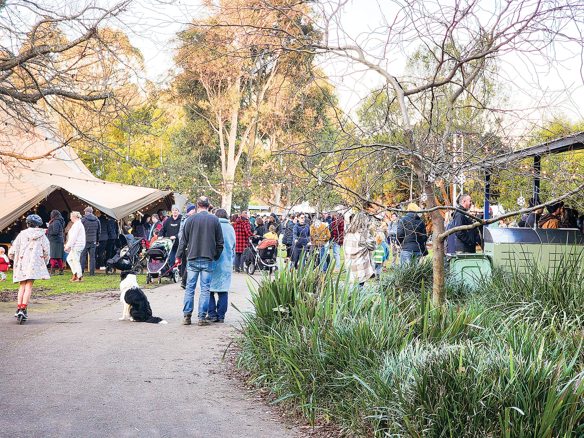 A winter celebration at Mirboo North