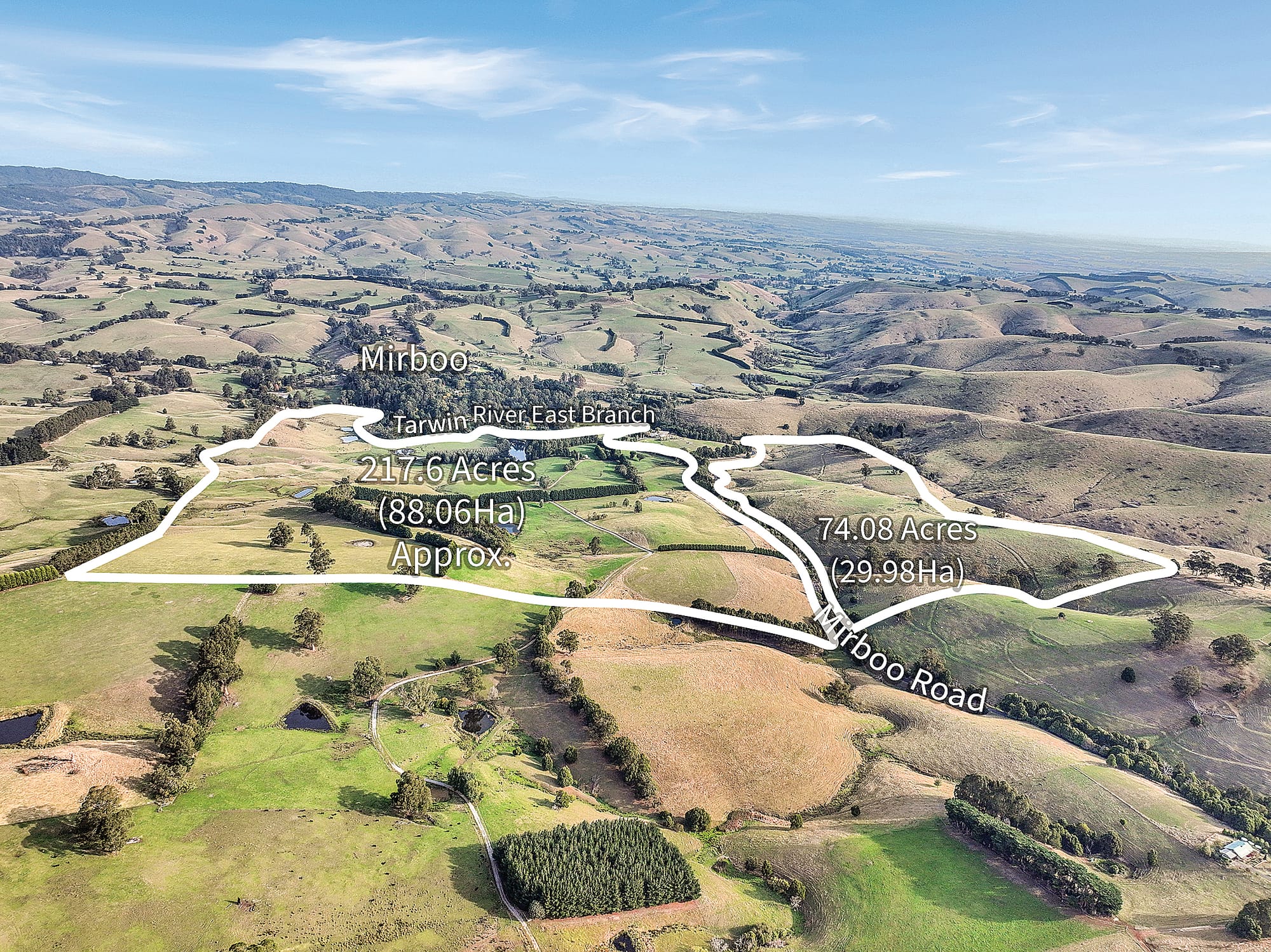 ‘Ripplebrook’ - 291 acres of well-kept Bluegum grazing country