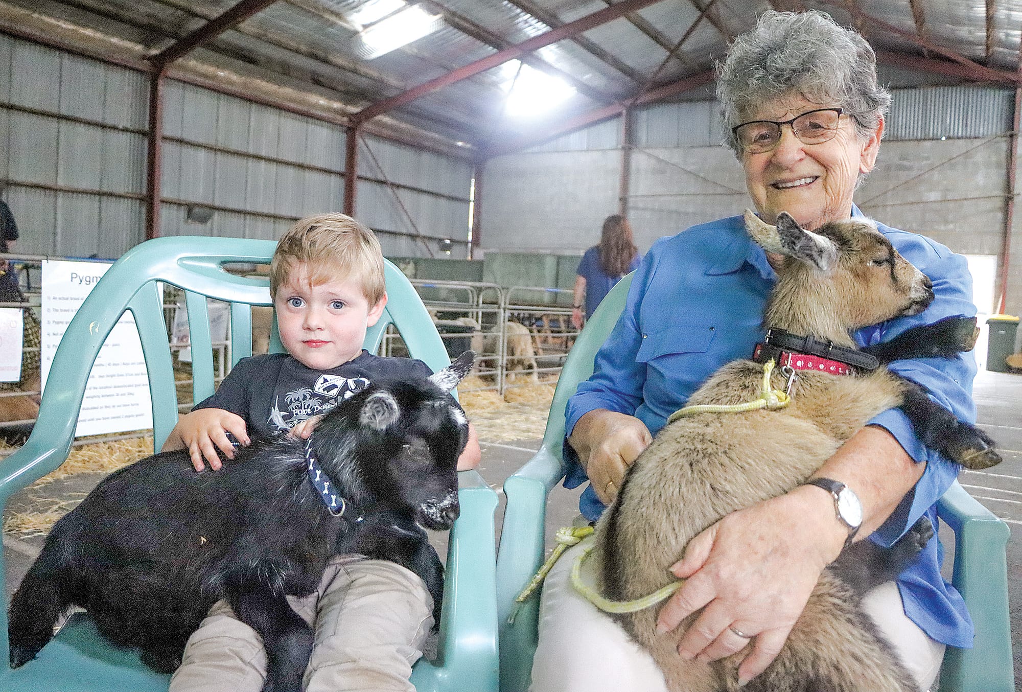 Myles holds ‘Sweet Dreams’ with Thelma nursing ‘Sweet Heart’, both goats bred by Lals Haven Goat Stud. A36_0625