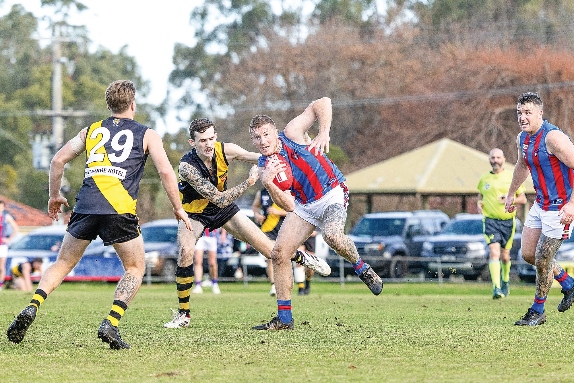 No coach, no worries for Tigers