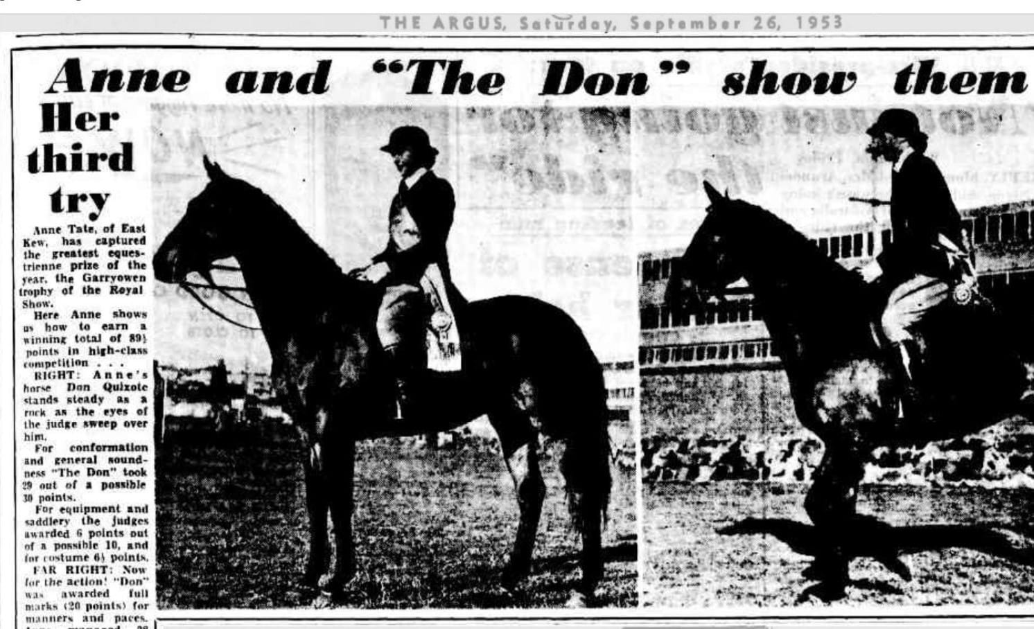 Back in September 1953, Don Quixote and Miss Anne Tate (Gibson) were the toast of the town, according to the Melbourne Argus newspaper, for winning the prestigious Garryowen equestrian event at the Royal Melbourne Show.