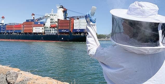 A harbourside home fit for a queen bee