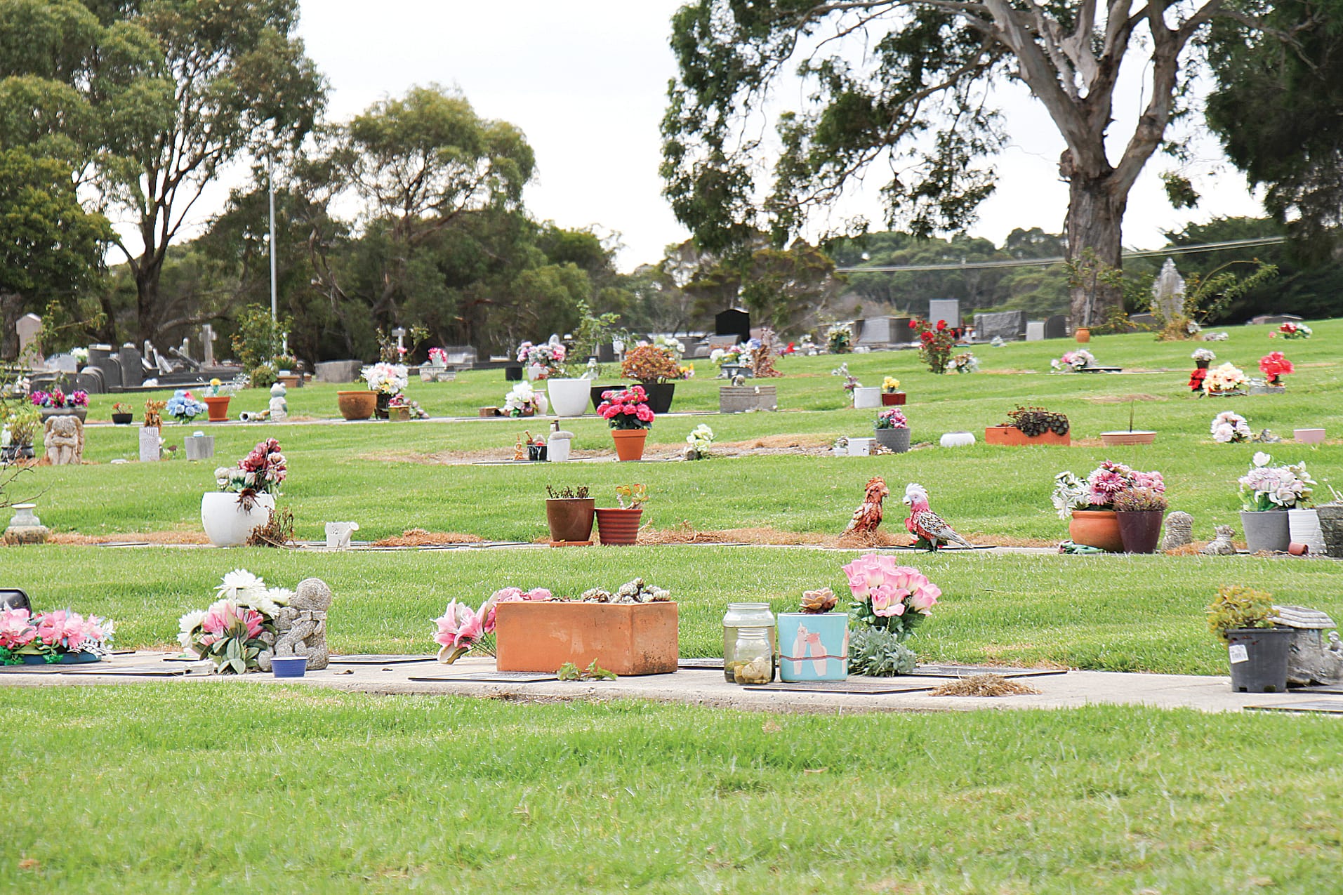 Artificial flowers are amongst the list of restrictions outlined by the new sign at the Wonthaggi Cemetery. B08_1525