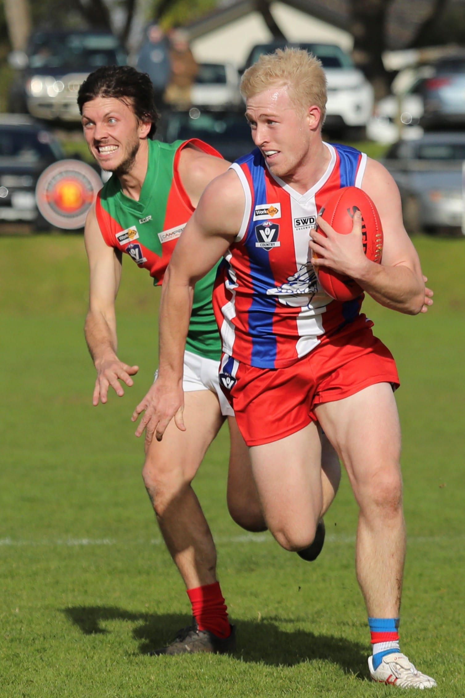 Bulldogs secure hard-fought win against Seagulls