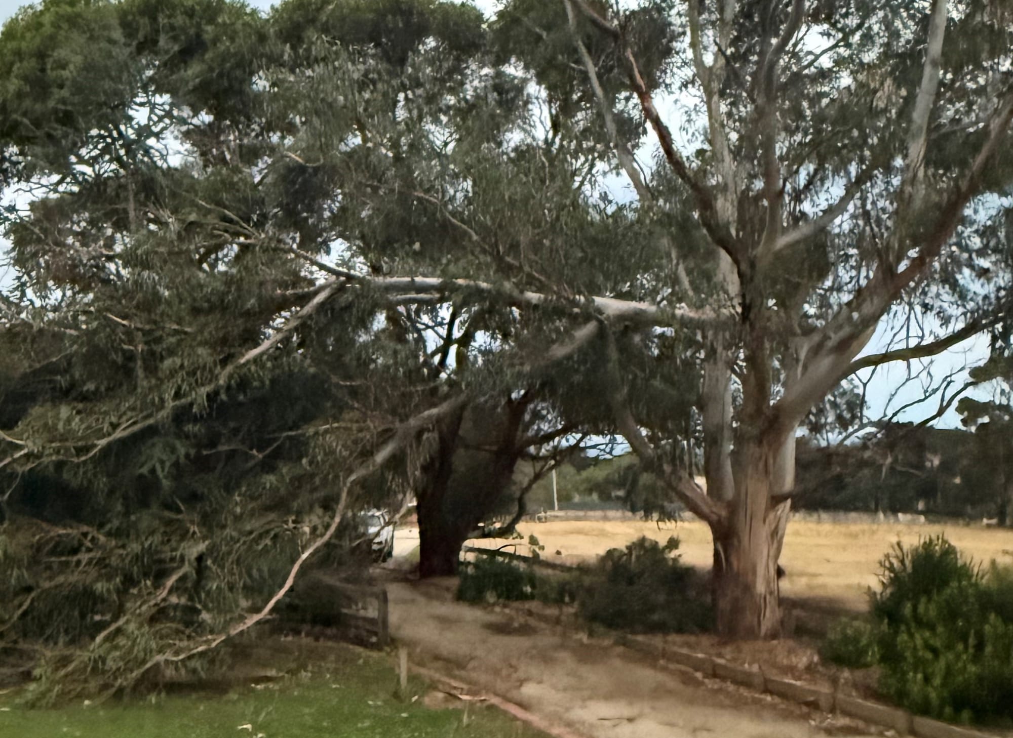 Phillip Island SES answered 45 calls after ‘mini cyclone’