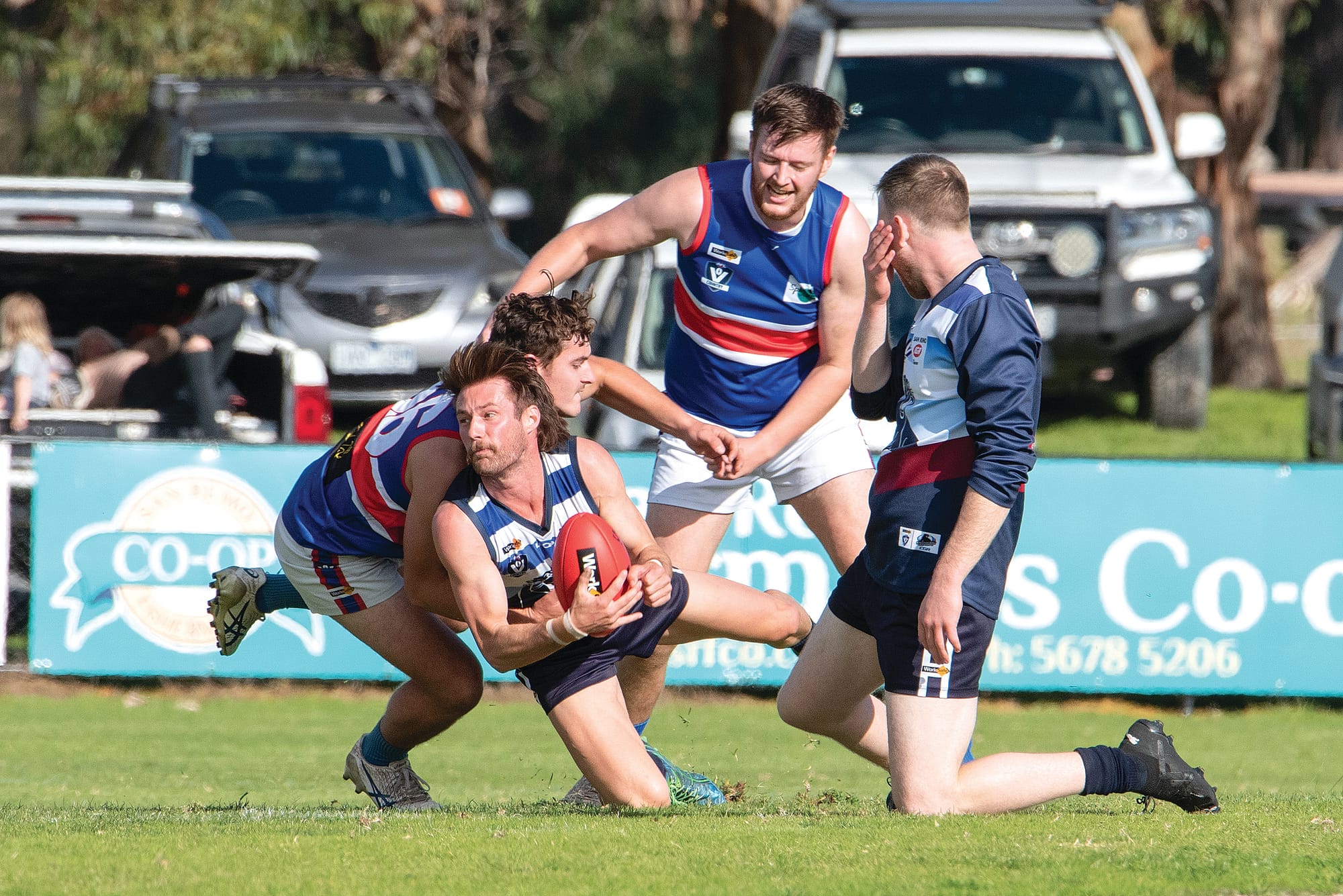 Panthers down ‘Dogs