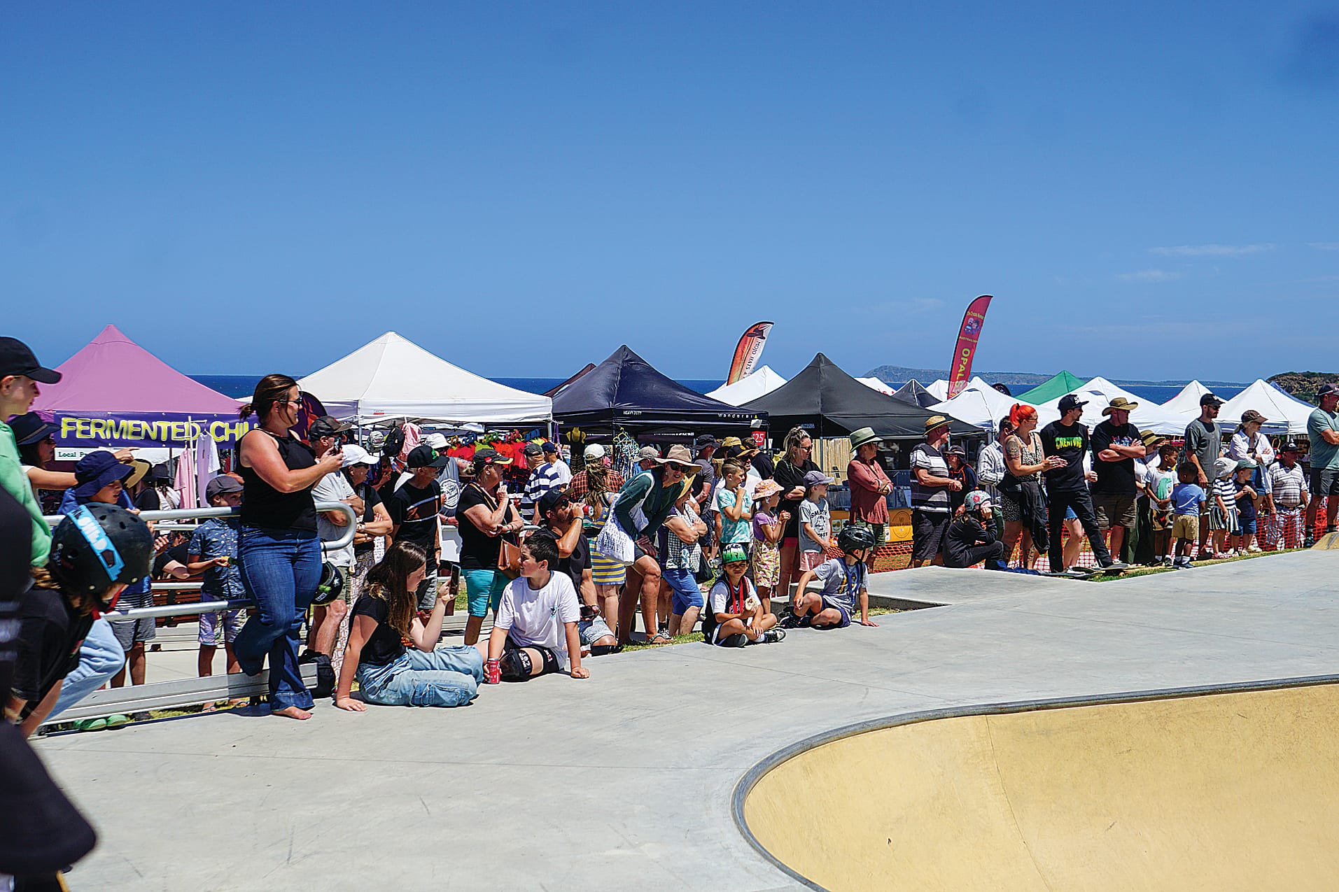 There was no shortage of spectators for the skate park competition. Ns15_0425