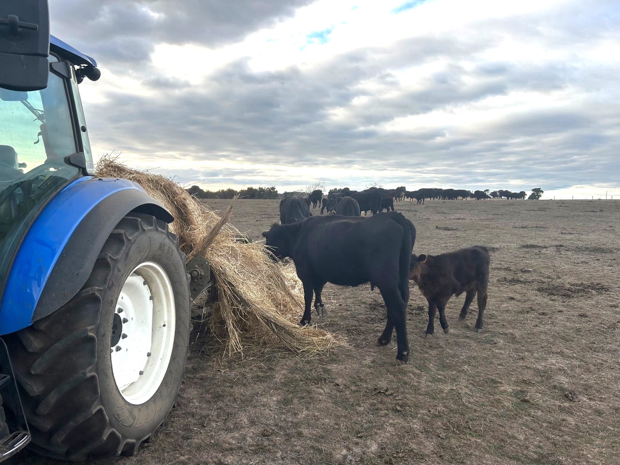 ‘Managing a dry season’ at Koonwarra Hall today