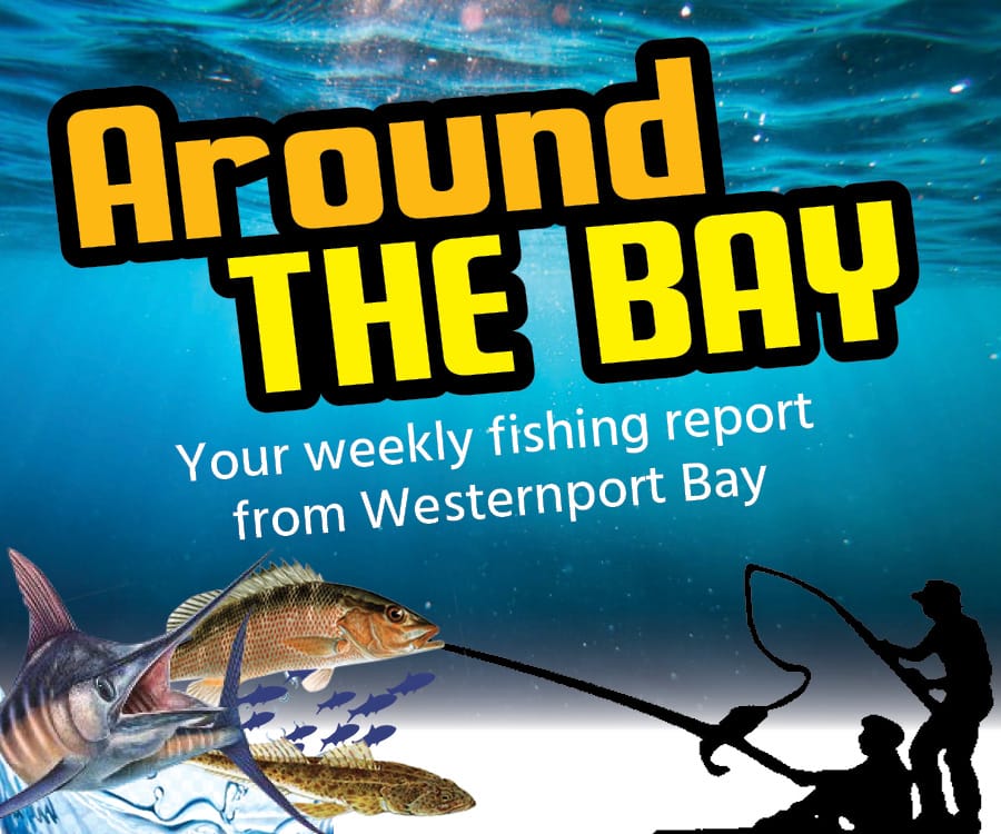 Around The Bay – Wednesday, April 27, 2022