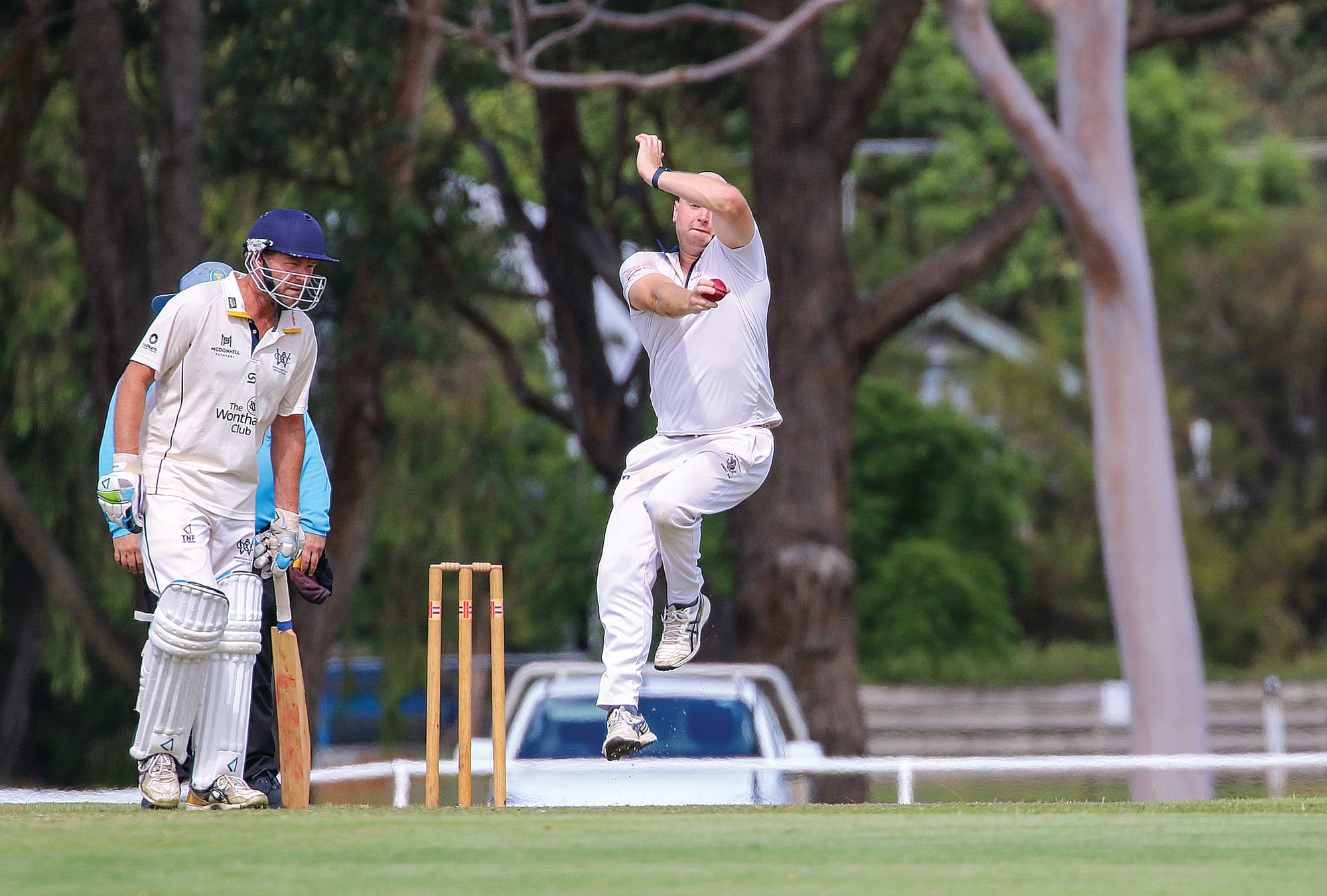 Sharks and Diggers push out the ladder leaders