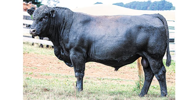 Absolutely the best yet