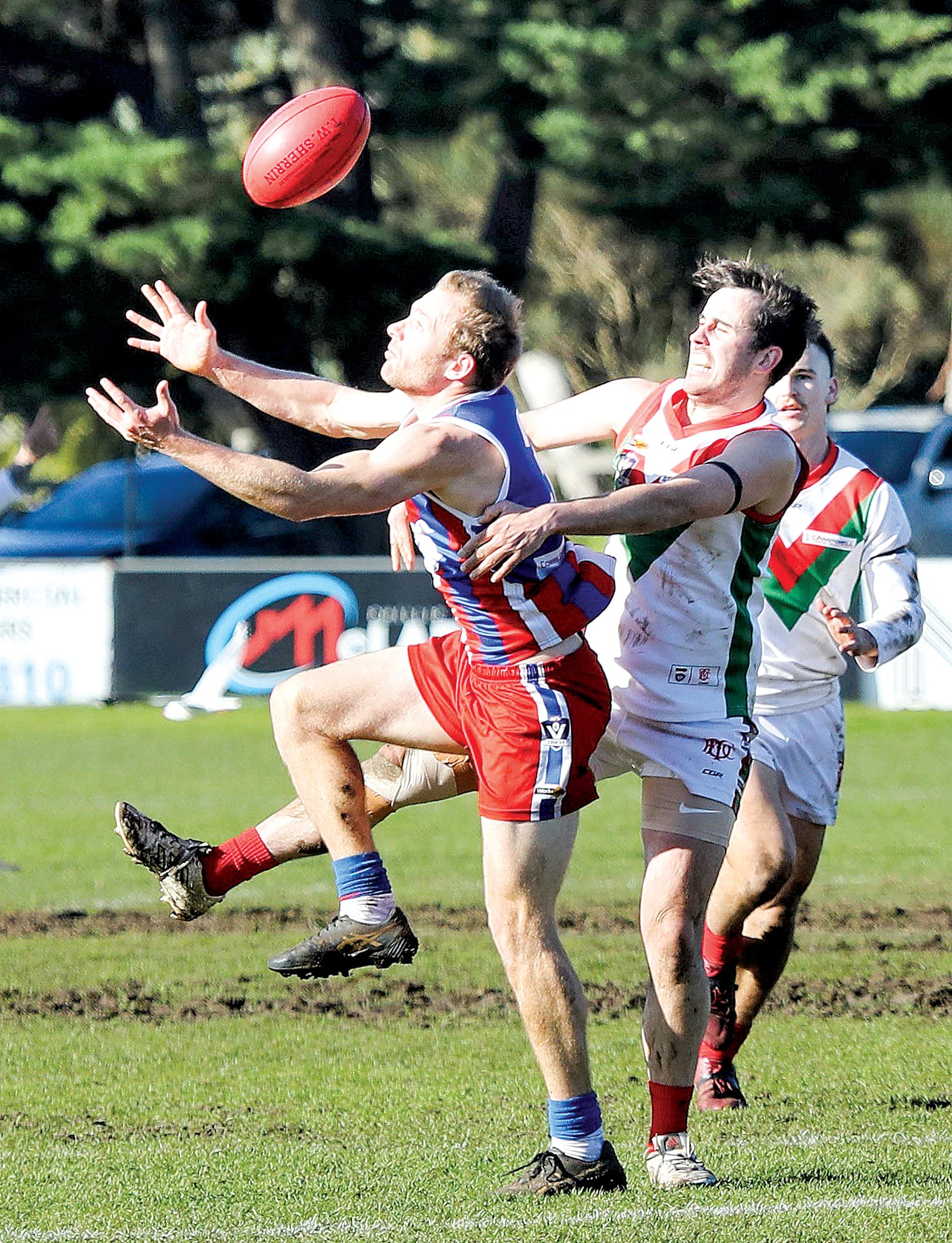 Bulldogs hand Seagulls first taste of defeat