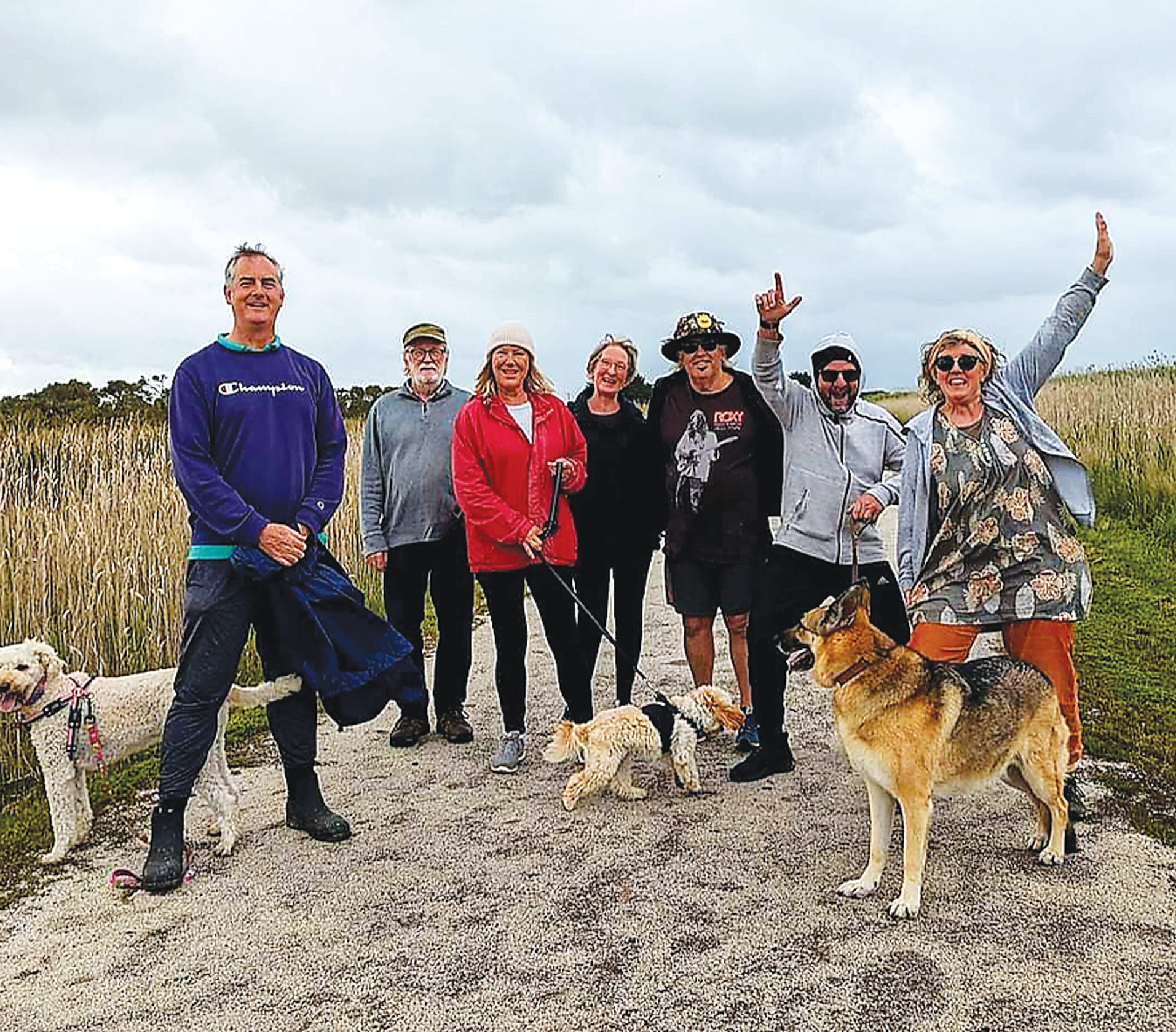 Celebrating one year of Wombat Walkers