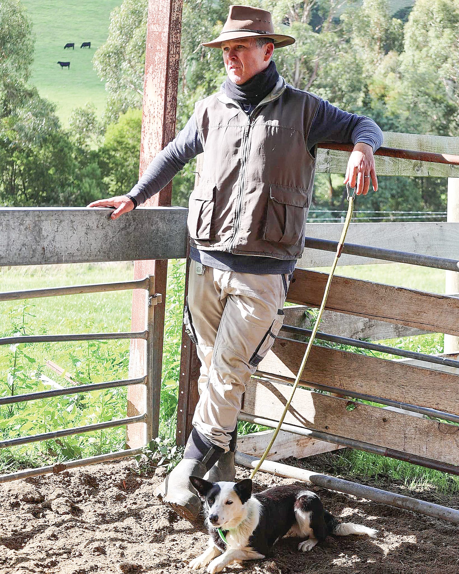 Working Dog Trials not to be missed this November