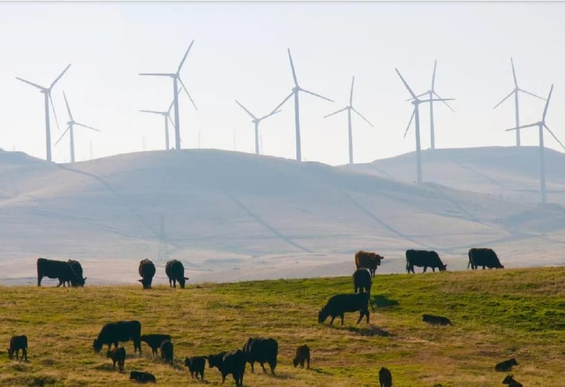 Transmission guidelines now give more weight to farming, they say