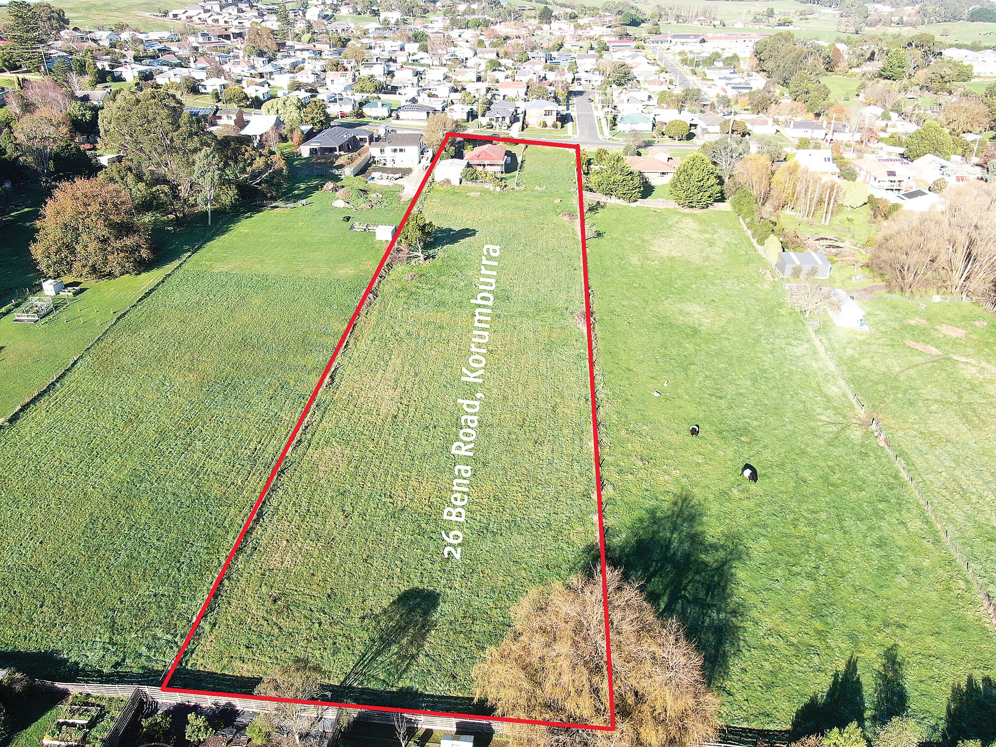 Rural living feel in town – two acres with large shed