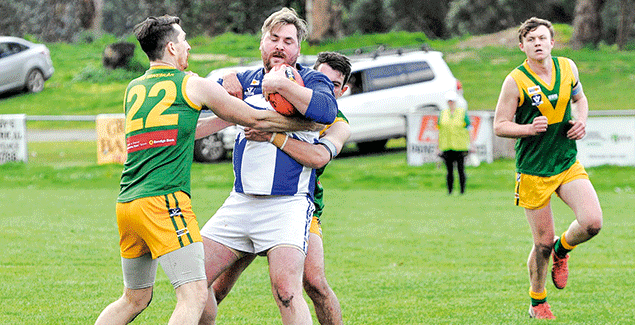 Hill End handle Sharks