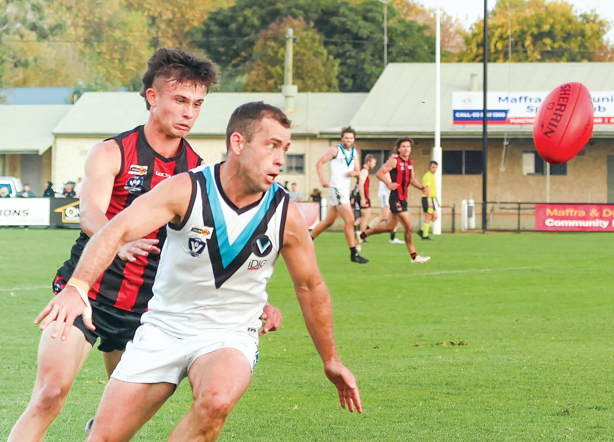 Power coach Jarryd Blair has eyes only for the ball in a complete performance by him at Maffra on Saturday.