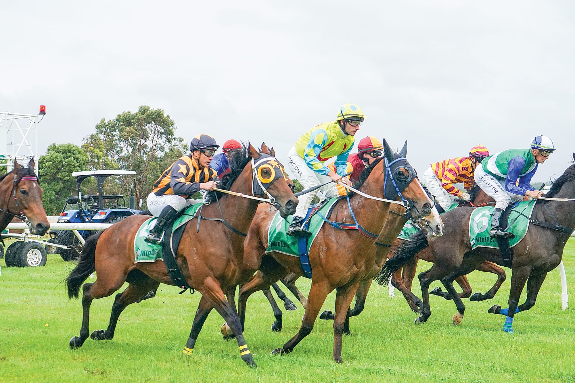 They’re off! It’s an even start for all in the Maiden Plate field. Ns274923