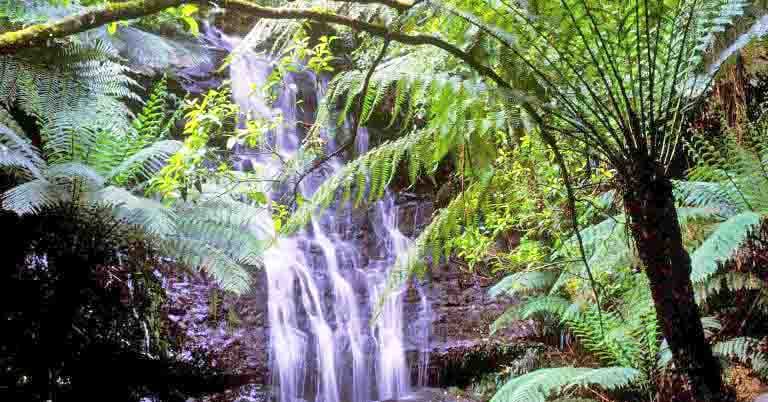 Whales, waterfalls and wanderings