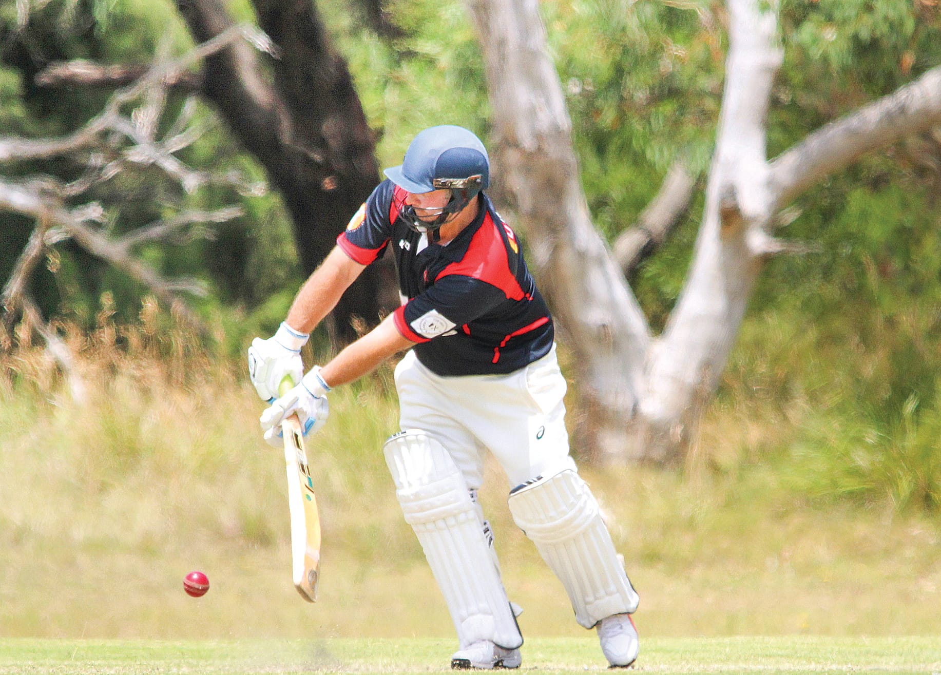Inverloch captain Brett Debono continued his sensational season with the bat, scoring a masterful century at Thompson Reserve against Koony.