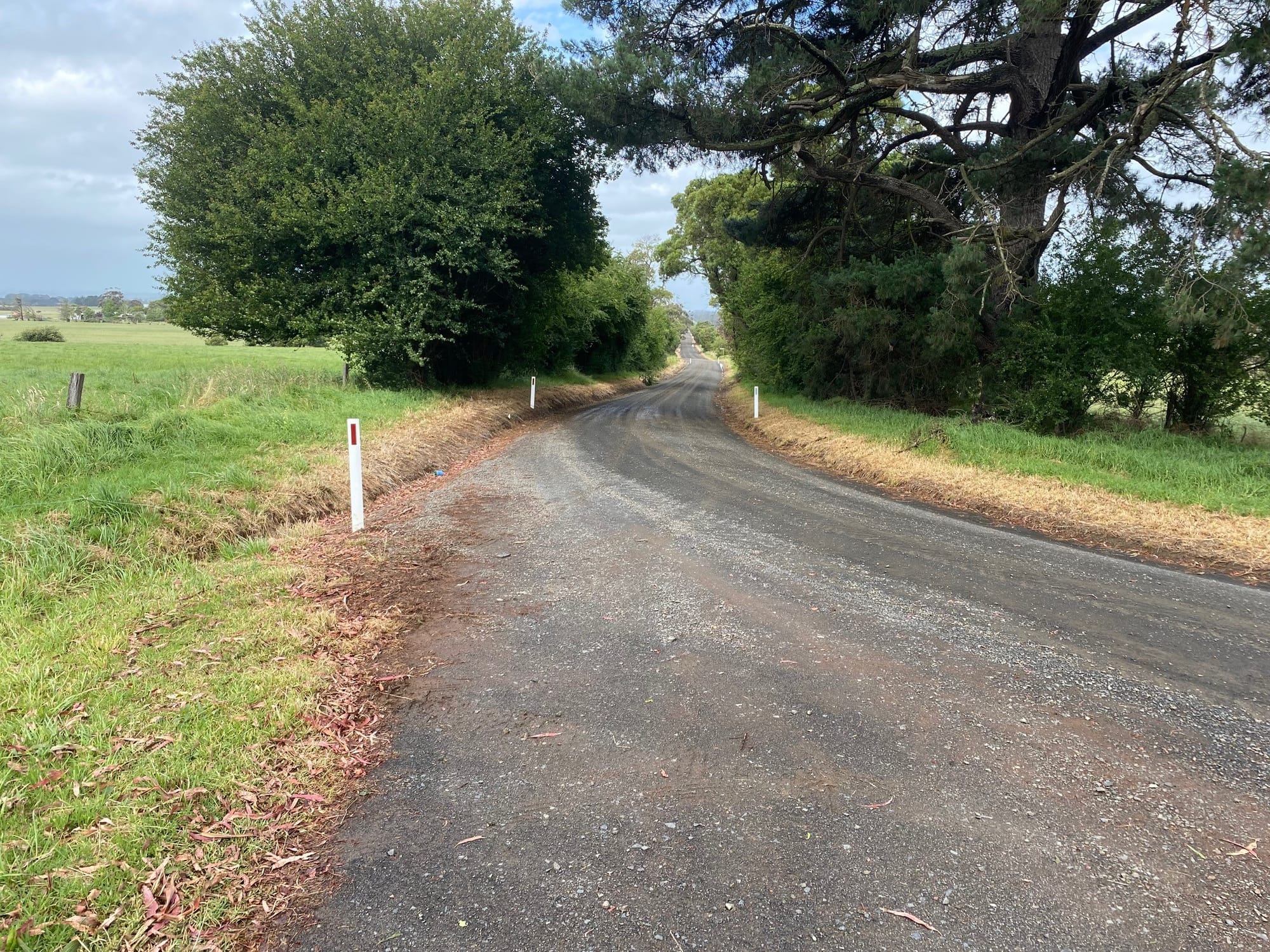 The offending driver raced at high speed along Rougheads Road before colliding with a semi-trailer on the corner of Toschs Road.