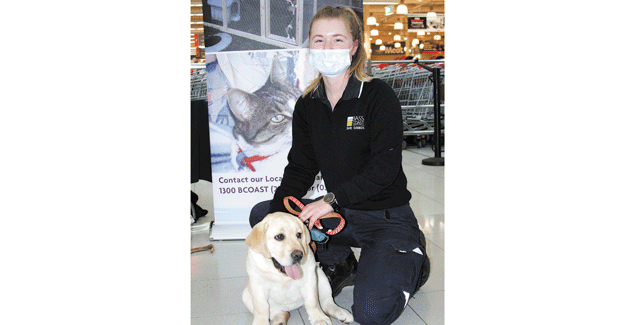 Pet plan taking shape