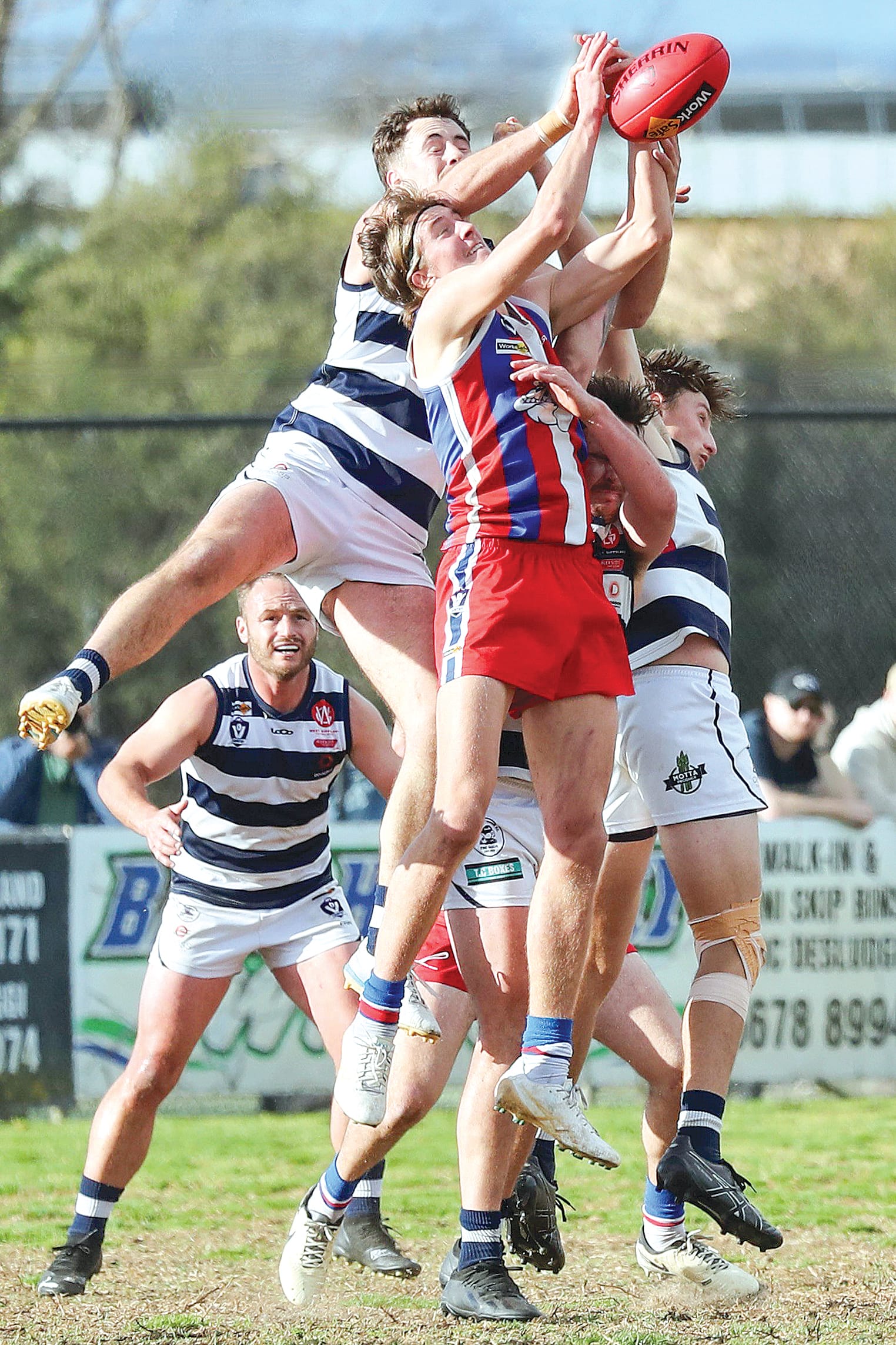 Zac Walker takes the mark for the Dogs. Photo: Carol Ratcliff.