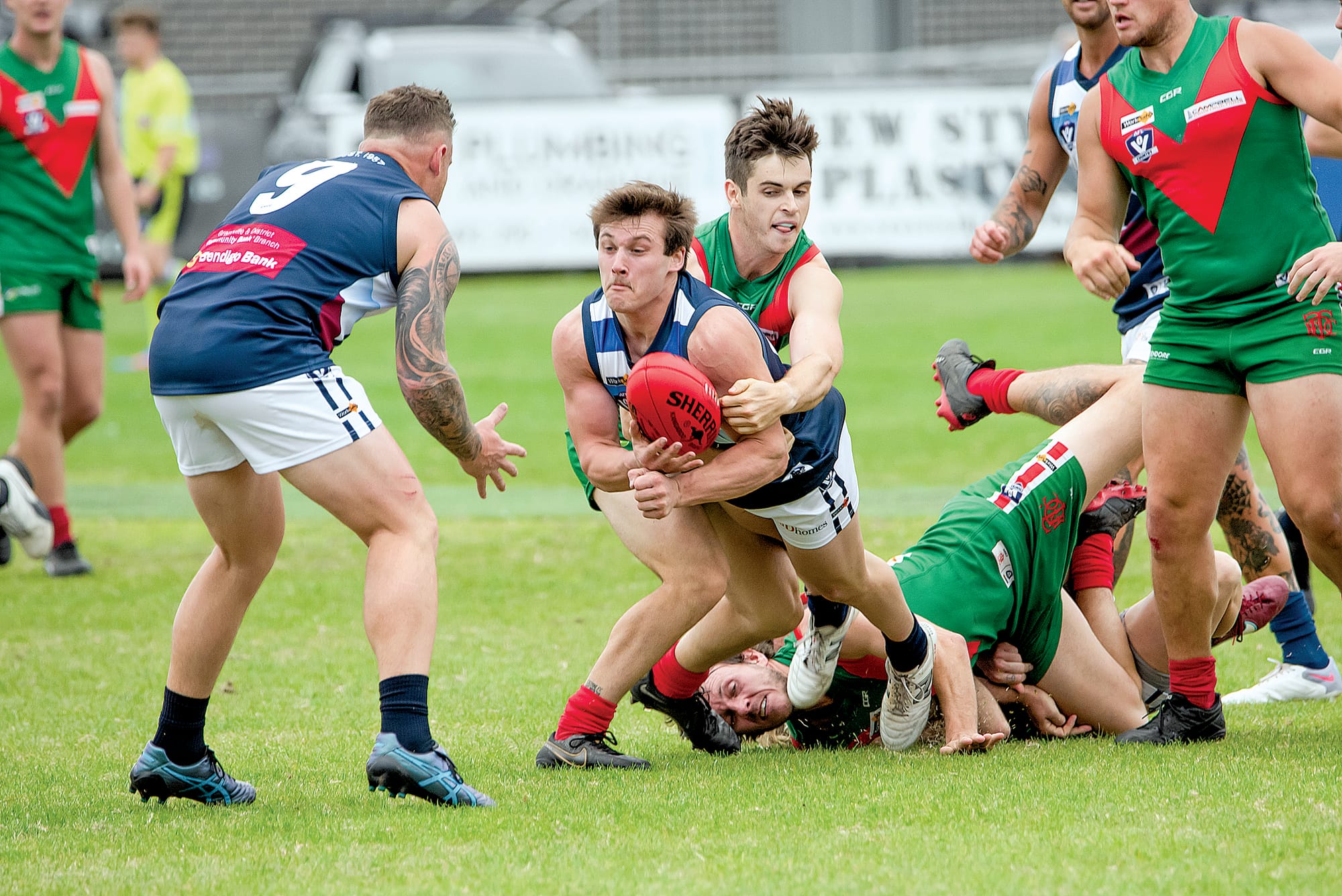 Seagulls hold off feisty Panthers