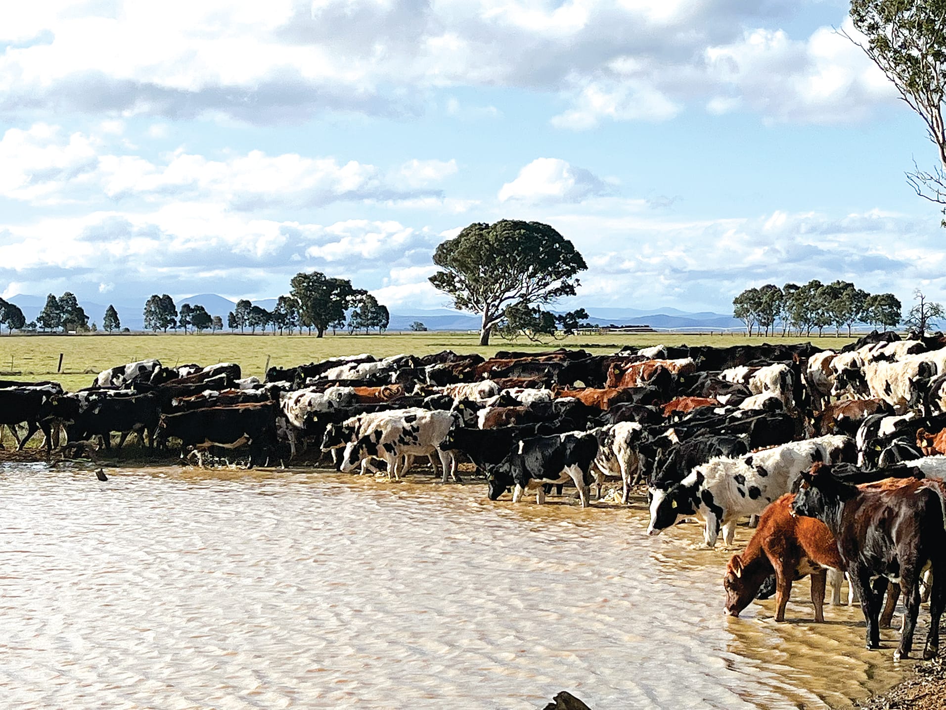 Gippsland farmer continues a sustainable tradition
