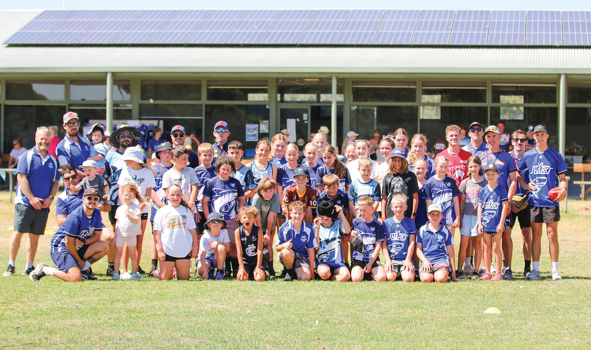 Sharks lure in the kids