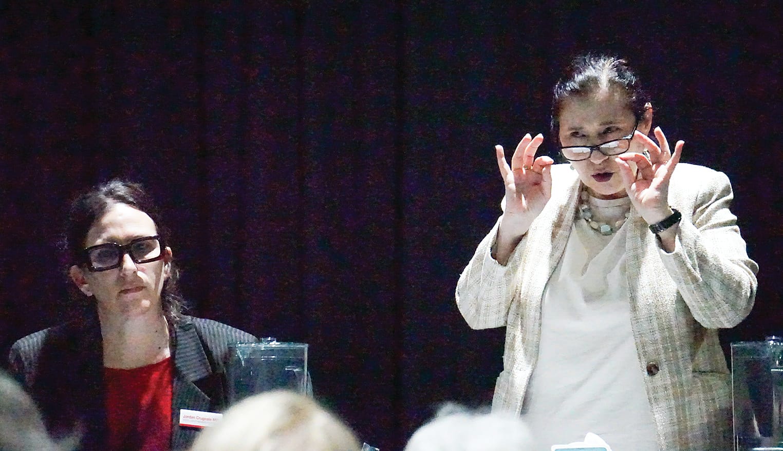 Jobs, views, bird fears with offshore wind proposal