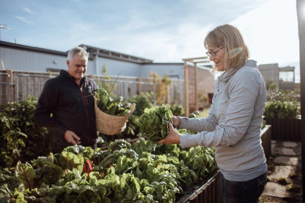 Innovative $2m community farm at Cape Paterson