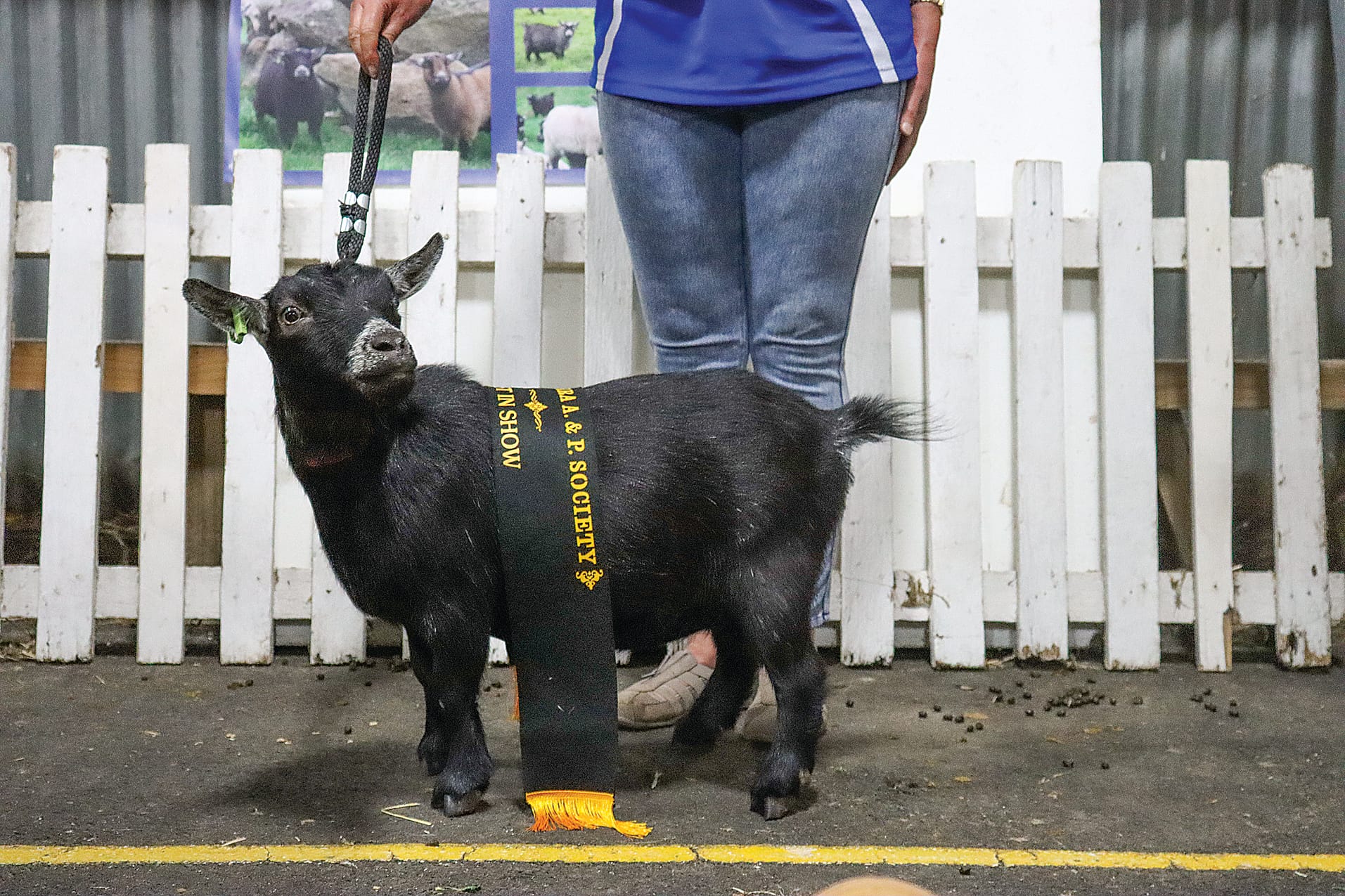 Doe ‘Trinity Blackberry’ stood out as Best in Show.