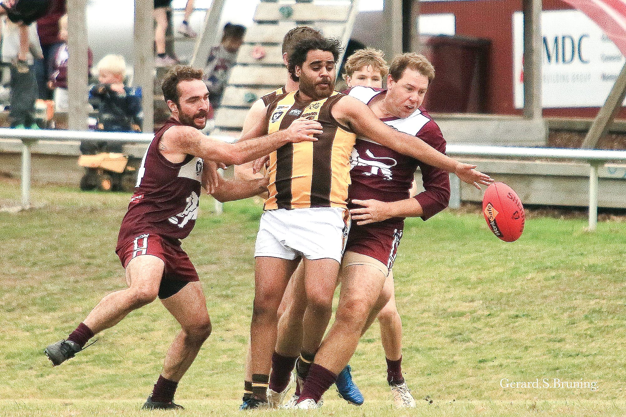 Lions end Hawks’ finals aspirations