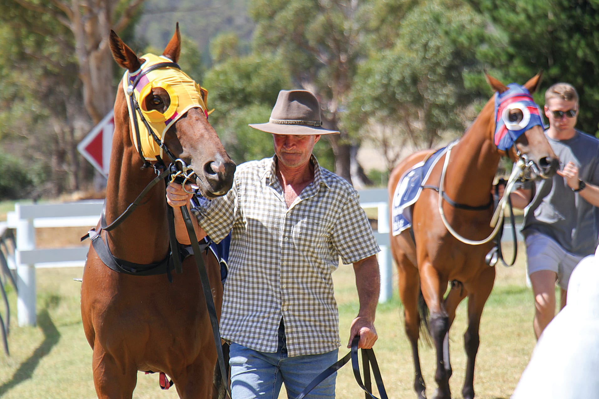 Heading towards the mounting yards for Race 4 at Woolamai. B130_0925