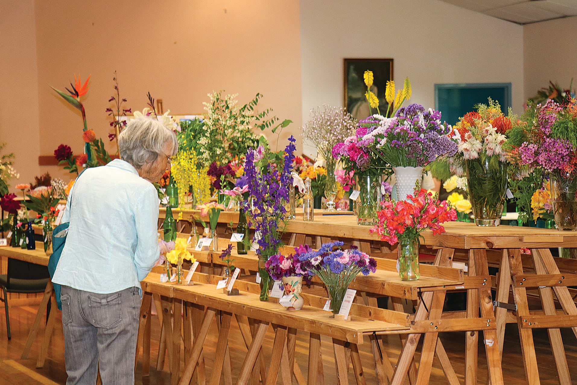 Leongatha Horticulture Society 51st annual Rose Spectacular at Dakers Centre, Leongatha. Z35_4724