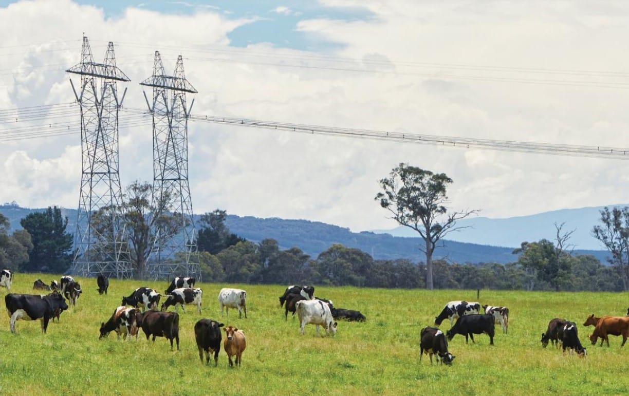 No underground transmission in Gippsland, too expensive, they say