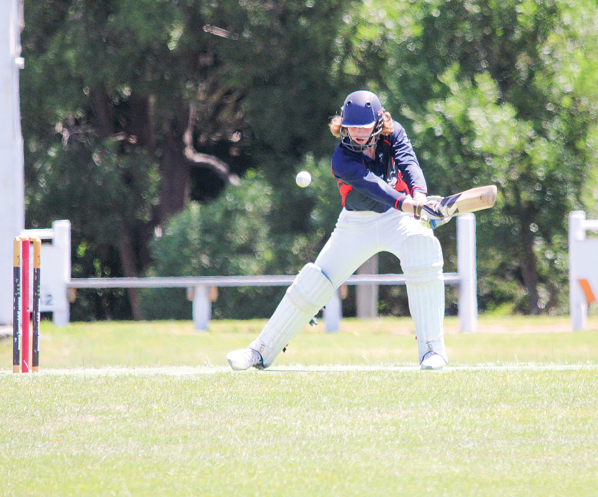 Mitchell Hoober bats for MDU in their win over Kilcunda Bass. 
