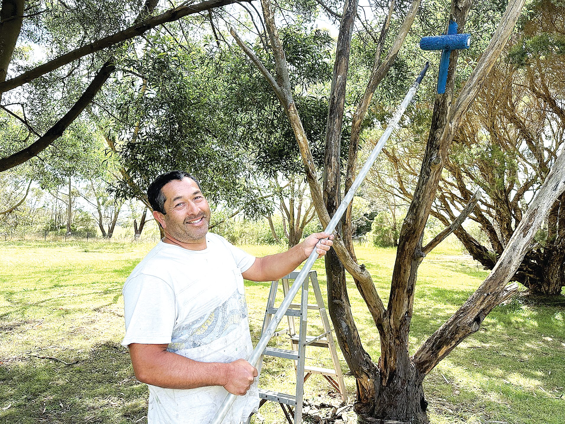 Alan Starkey rolls the first of the blue paint on the tree at Leongatha Golf Club as part of the Blue Tree Project for mens mental health. ob04_0424
