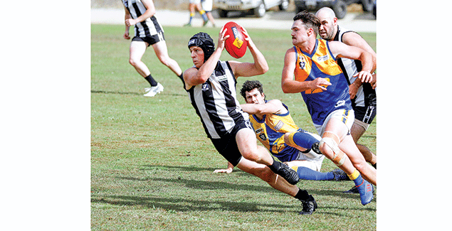 Magpies fight back against the Ellinbank Eagles