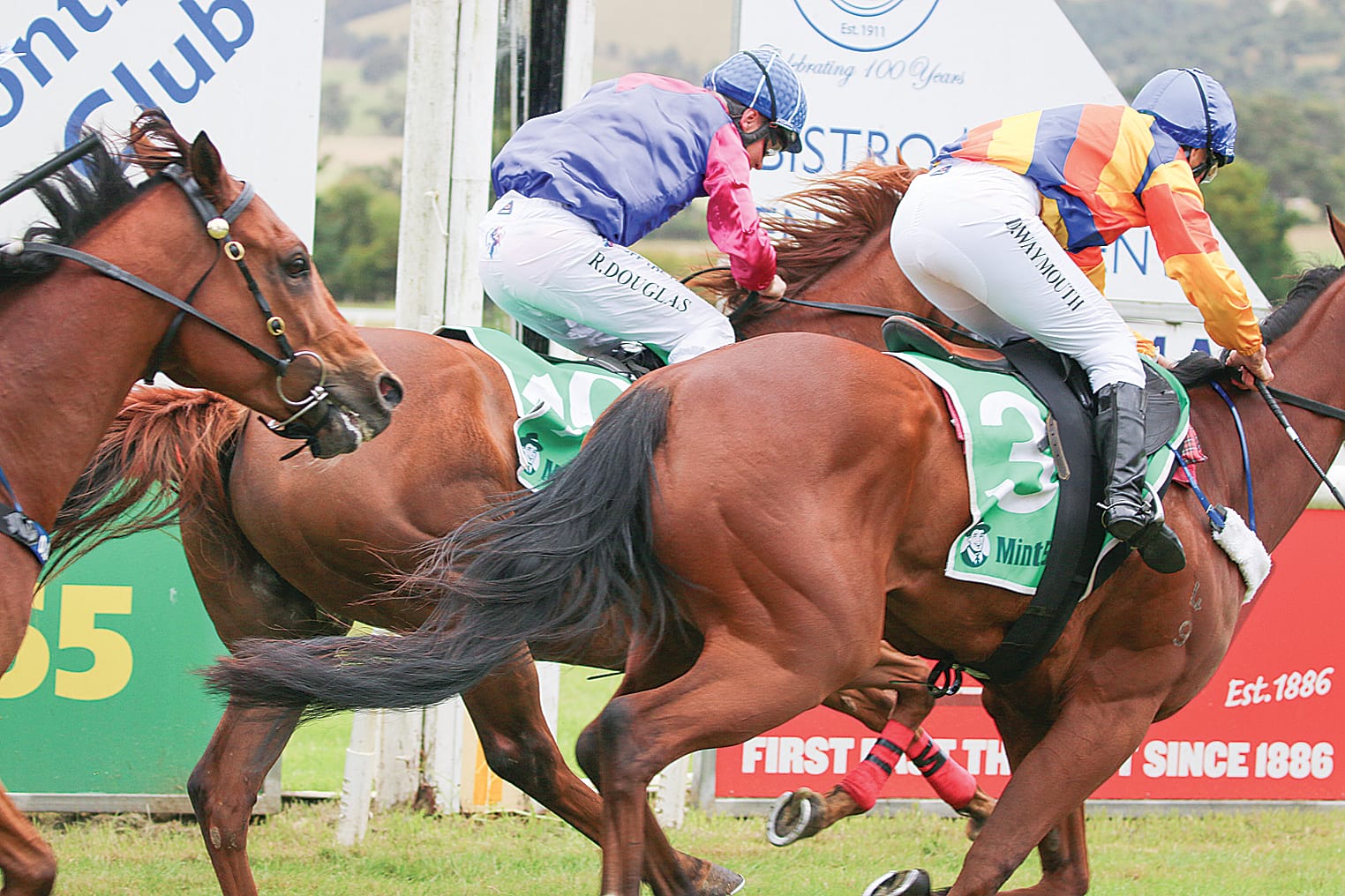 Sleeping Tiger won by a nose against Maggie Rocks in an excitingly close race. ob14_0124