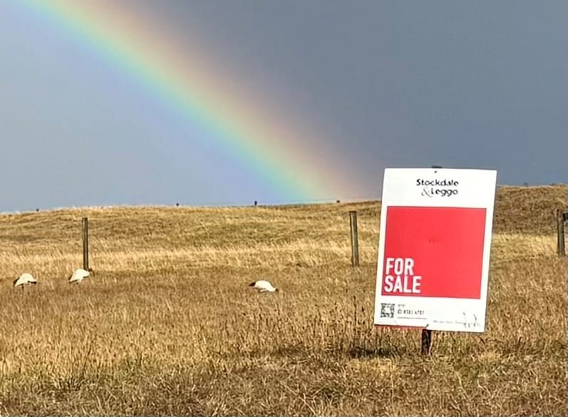 Has the Reserve Bank returned the pot of gold to the property market? Only time will tell.
