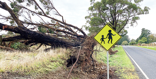 119 roads on South Gippsland storm list